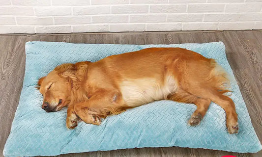 Long Warm Plush Dog Bed with Quilted Base
